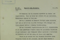 Efterretningsrapport